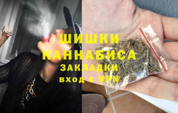 индика Лабытнанги