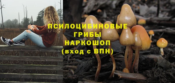 соль ск Нефтекумск