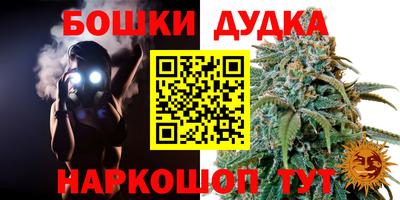 apvp Канаш