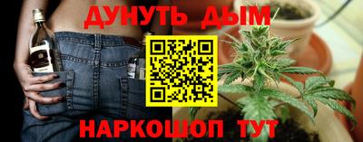 apvp Канаш