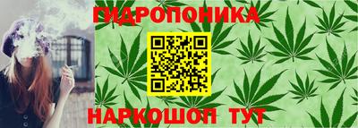 2c-b Кандалакша