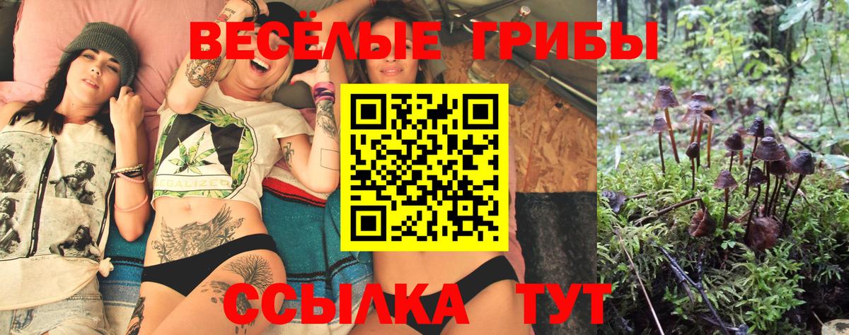 Галлюциногенные грибы Magic Shrooms Кстово