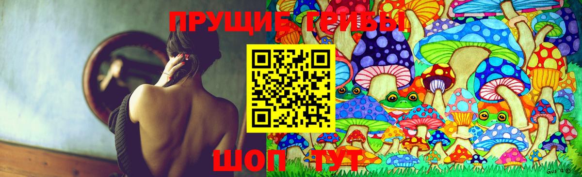 Псилоцибиновые грибы прущие грибы  Вход с VPN  Кстово 