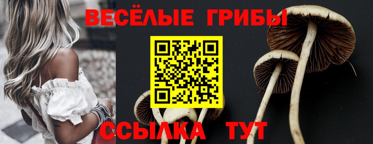 Галлюциногенные грибы ЛСД  Псилоцибиновые грибы MAGIC MUSHROOMS  Кстово 