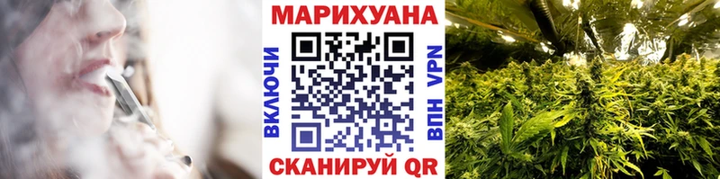 где найти наркотики  Кстово  Шишки марихуана сатива 